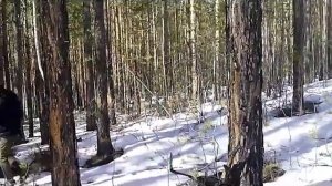 Игра на выживание 2 (2 серия)