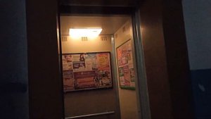 Лифт с 3 этажа!Пассажирский лифт ЩЛЗ-(2010 г.в) в доме проекта 1-447С-47.