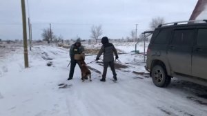 Видео WhatsApp 2025-01-29 в 20.24.00_4787fe11