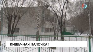 Кишечная палочка?