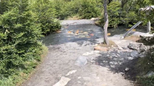EL CHALTEN!! LAGUNA TORRE trekking смотреть онлайн