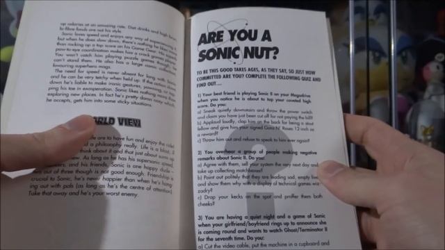 Stay Sonic The Ultimate Guide Book Review смотреть онлайн