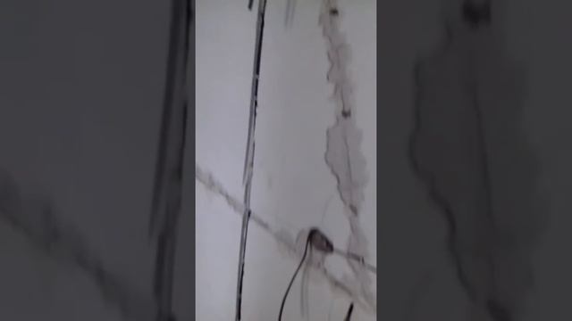 Демонтаж и монтаж электропроводки в новостройке