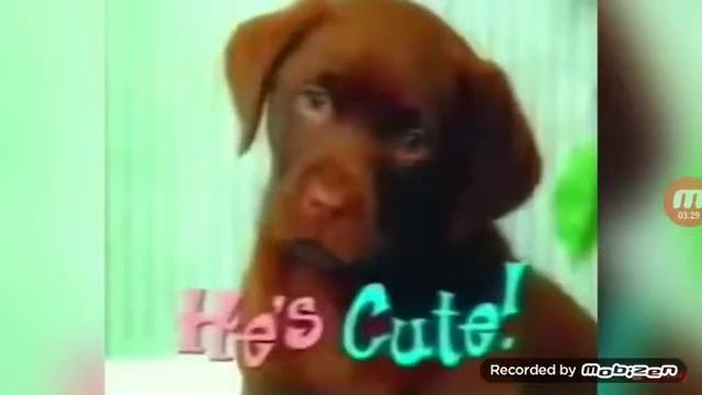 10 самых страшных рекламы в мире смотреть онлайн