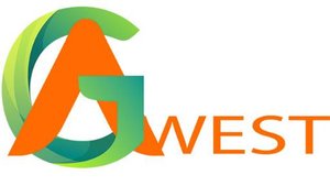 Что мы производим