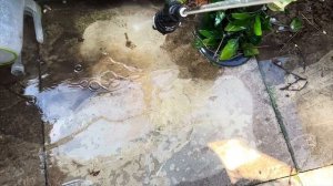 Ryobi ONE+ HP Cordless Brushless 41 Bar Power Washer Review RY18PWX41A