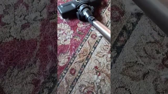 Staubsauger Hundehaare Test AEG LX7 смотреть онлайн