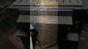 29 января 2025г. Зимовка продолжается.