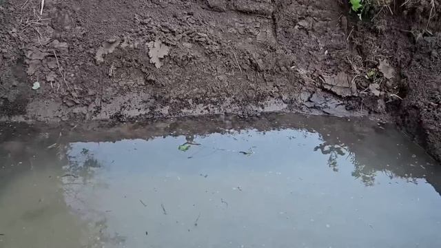 Будни Фермера / Посмотрели как формируются косяки после того как мы отпустили жеребцов смотреть онлайн