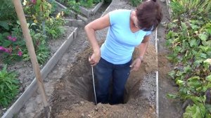 6 соток 16 августа 2020 года. Сажаю грушу Памяти Яковлева.