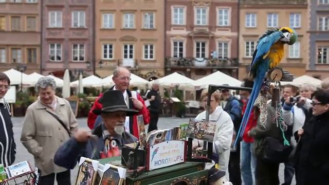 MVI_0844.avi смотреть онлайн