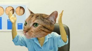 Business Cats,  Episode 2: Office Greeting Cards