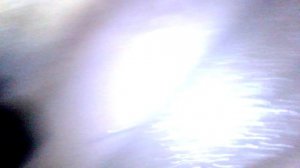 (06)  Левая продольная жесткость