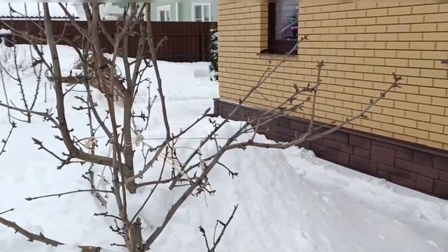 В память о снежной зиме 2024 смотреть онлайн