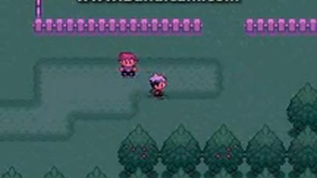 Let's Play Pokemon Flora Sky (GBA ROM) Episode 3_The Next Team Member_ смотреть онлайн