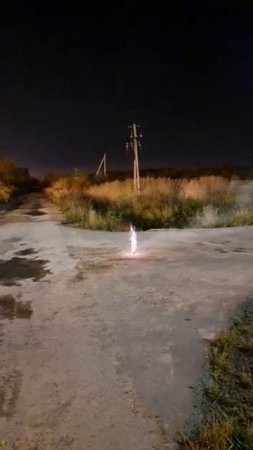 В007 Crazy robots