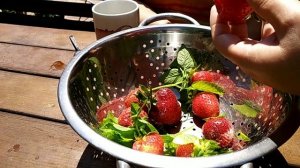 Дегустация сортов НСД. КРАПО-10, ВИВАРА, ФЛОРИДА БЬЮТИ и ВЕРИТИ.