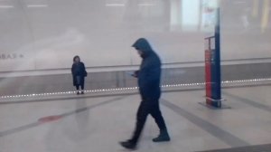 Бутовская линия метро.