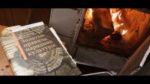 Интересные факты о берёзе.Полезные свойства.