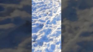 взрываем петарду виде гранаты 🫨