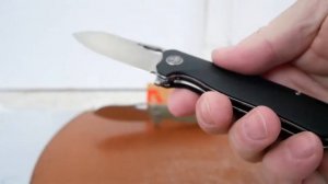 Petrified fish PF868 Bunta, D2 Satin, G10 - Micarta