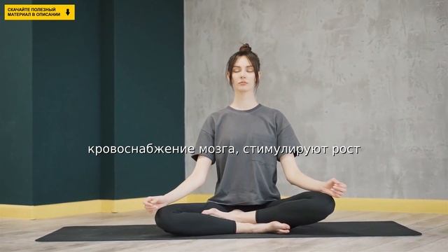 Как стать умнее? смотреть онлайн