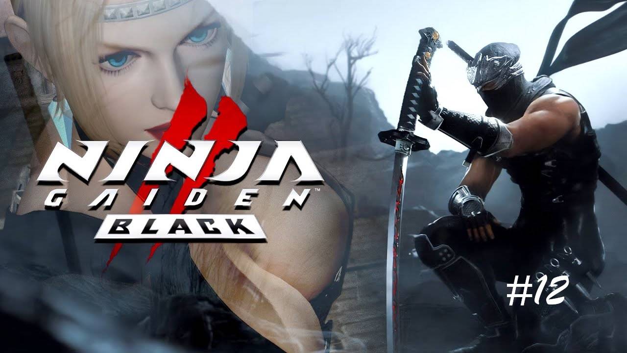NINJA GAIDEN 2 BLACK Прохождение #12