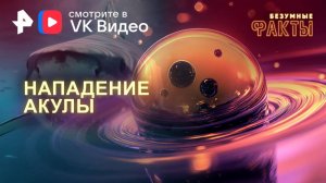 Нападение акулы — Безумные факты (29.01.2025)