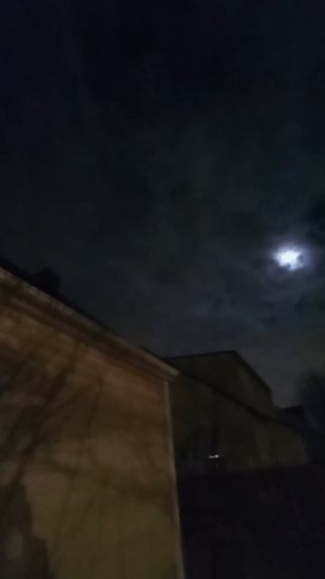 straight white light near ground  fast flashing lights