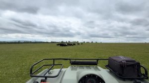 Обычные деревенские будни Уральского Фермера | Сезонные работы