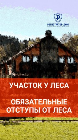 Земельный участок у леса - обязательные отступы от леса при строительстве дома.