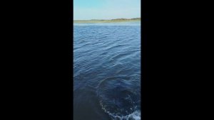 Трое в лодке, рыбалка, Новокемский