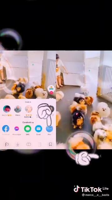 2 декабря 2021 г. смотреть онлайн