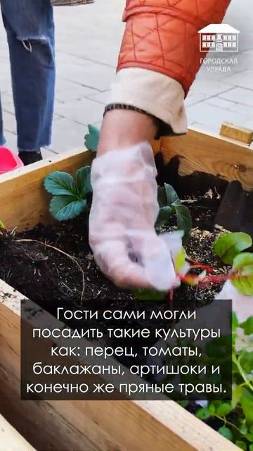 Культурный огород