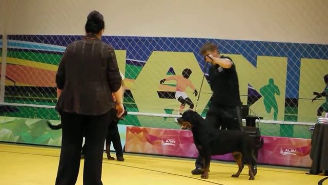 P1160981 смотреть онлайн