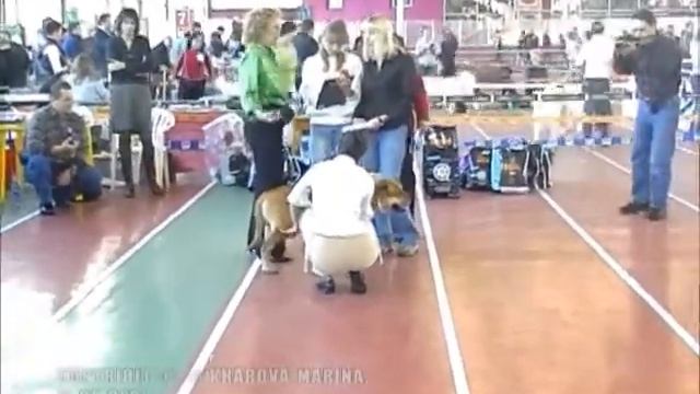 Моно Ка де бо ПК 11.2005 ВетераныMono Ca de bou WC 11.2005 Veterans