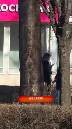 Коротко о погоде сегодня в Краснодаре..