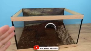Alex Boyko! ЧТО ЕСЛИ МАЛЫШИ СКОРПИОНЫ И ТАРАКАН ПОПАДУТ В ЛАБИРИНТ