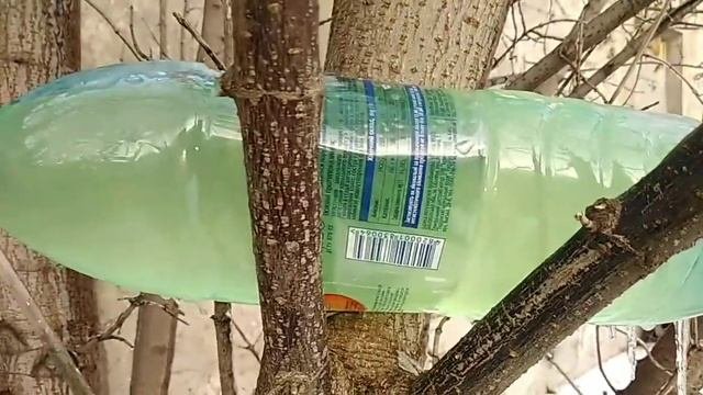 Солярка на морозе.