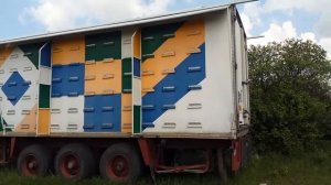 Пчелы на прицепах!…два вида!…улья и павильон
