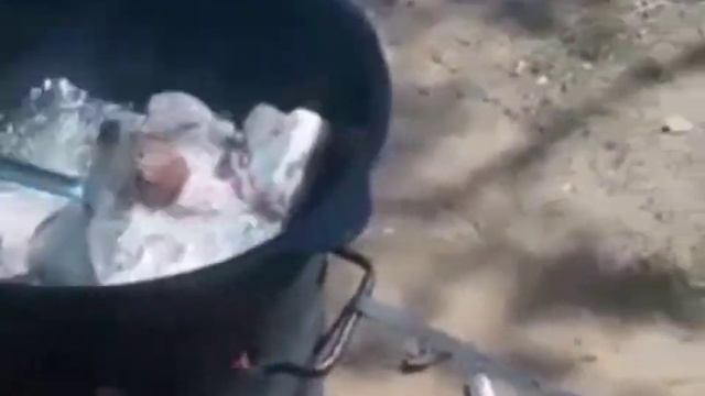 День рождения!!! В парк,на шашлыки!!!🌋.Плов на костре!! смотреть онлайн