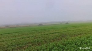 9 августа 2024 г.