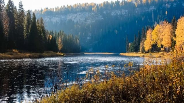 Даша была таким человеком, который помогает близким и друзьям всегда и везде. смотреть онлайн