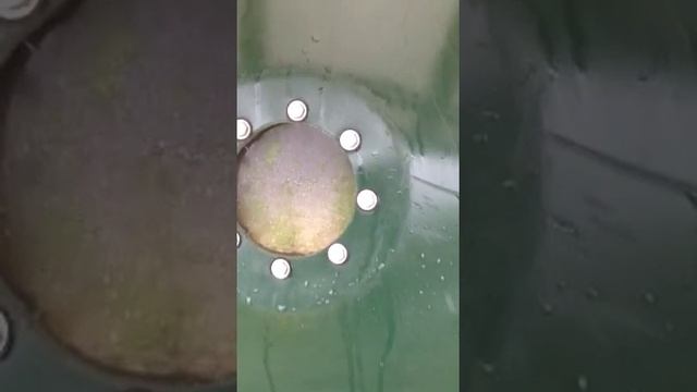 (Prt 2) Polygeyser koi pond filter setup and flush cycle! смотреть онлайн