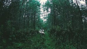 Константин Шаханов Баллада, II часть концерта для гуслей звончатых и оркестра