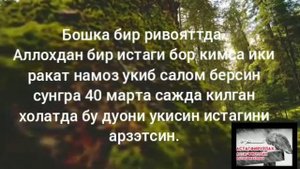Зиннун(Юнус)нинг балик корнида килган дуоси