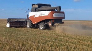 Уборка 2023, девяти метровой жаткой на Акрос 550.