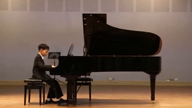 Mariage D'amour ( Erg in Piano Concert) смотреть онлайн