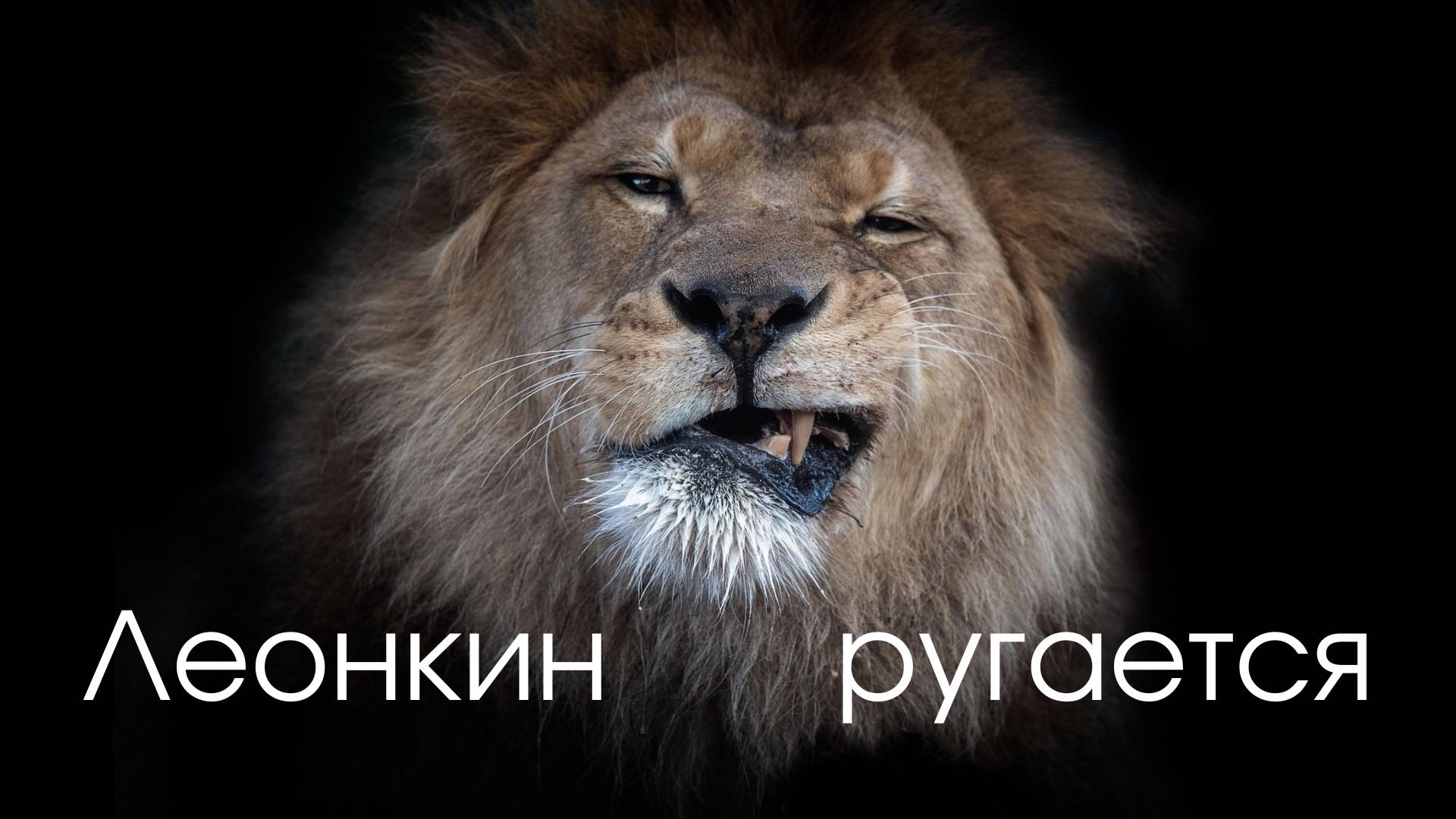Аутизм?