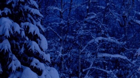 Пожелания доброй ночи.